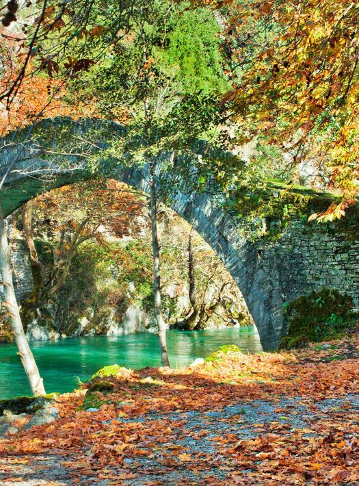 bridge during the autumn