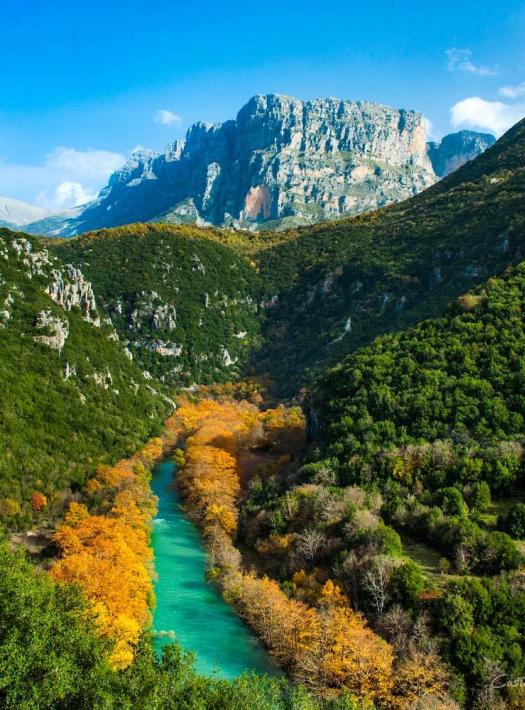 large forest with river crossing it