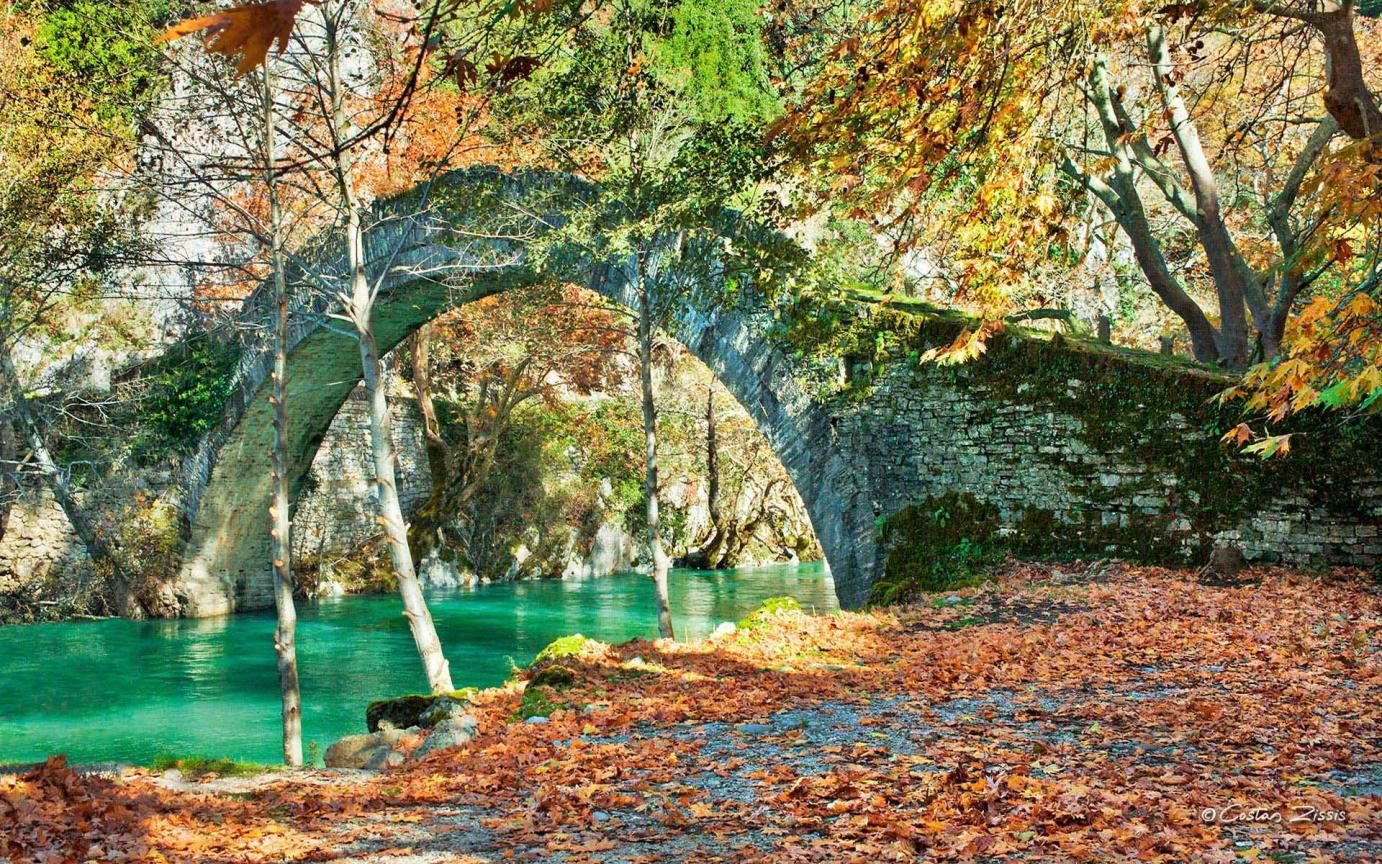 Aristi resort bridge