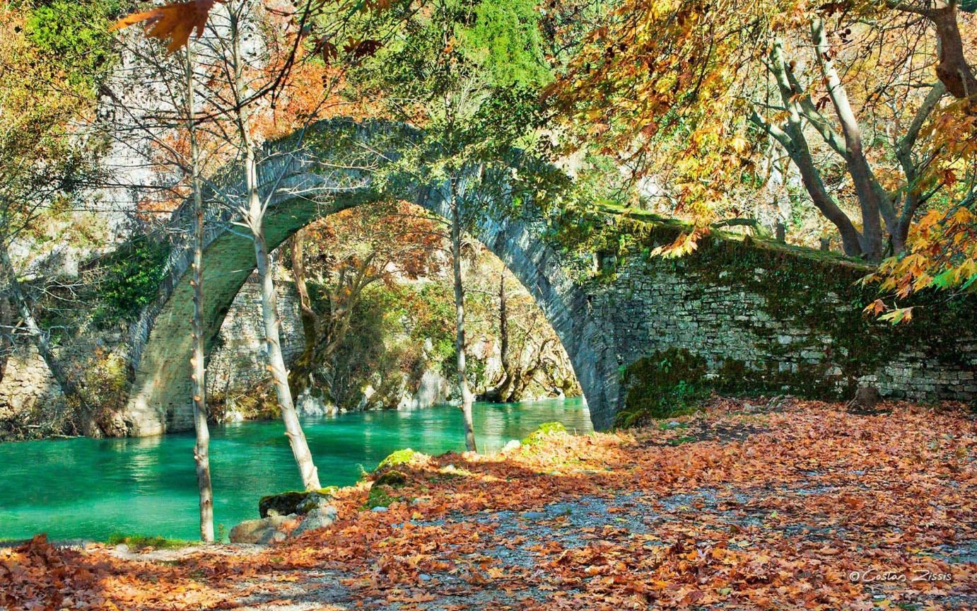 Aristi resort bridge