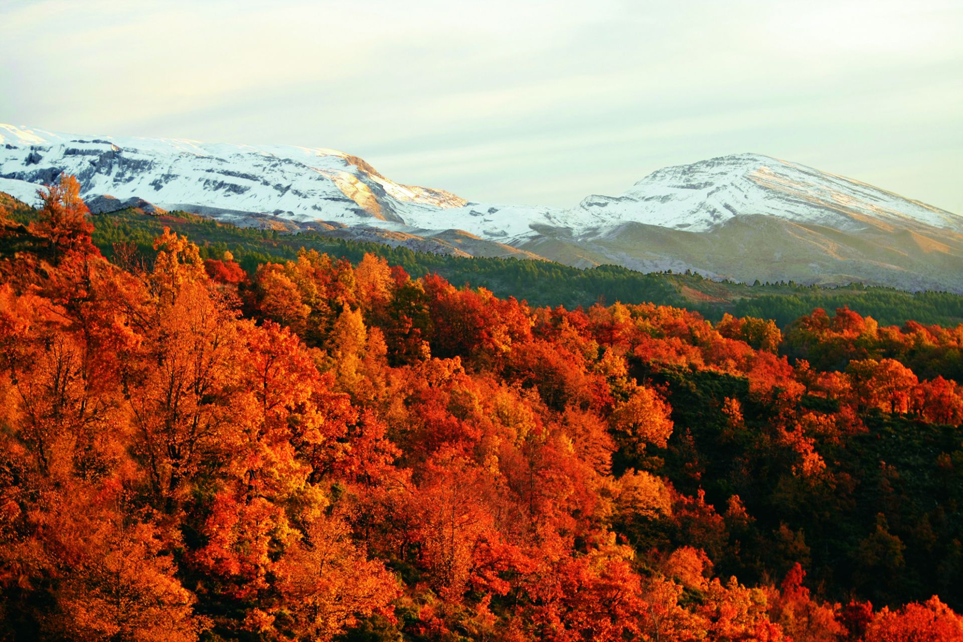 autumn mountain view